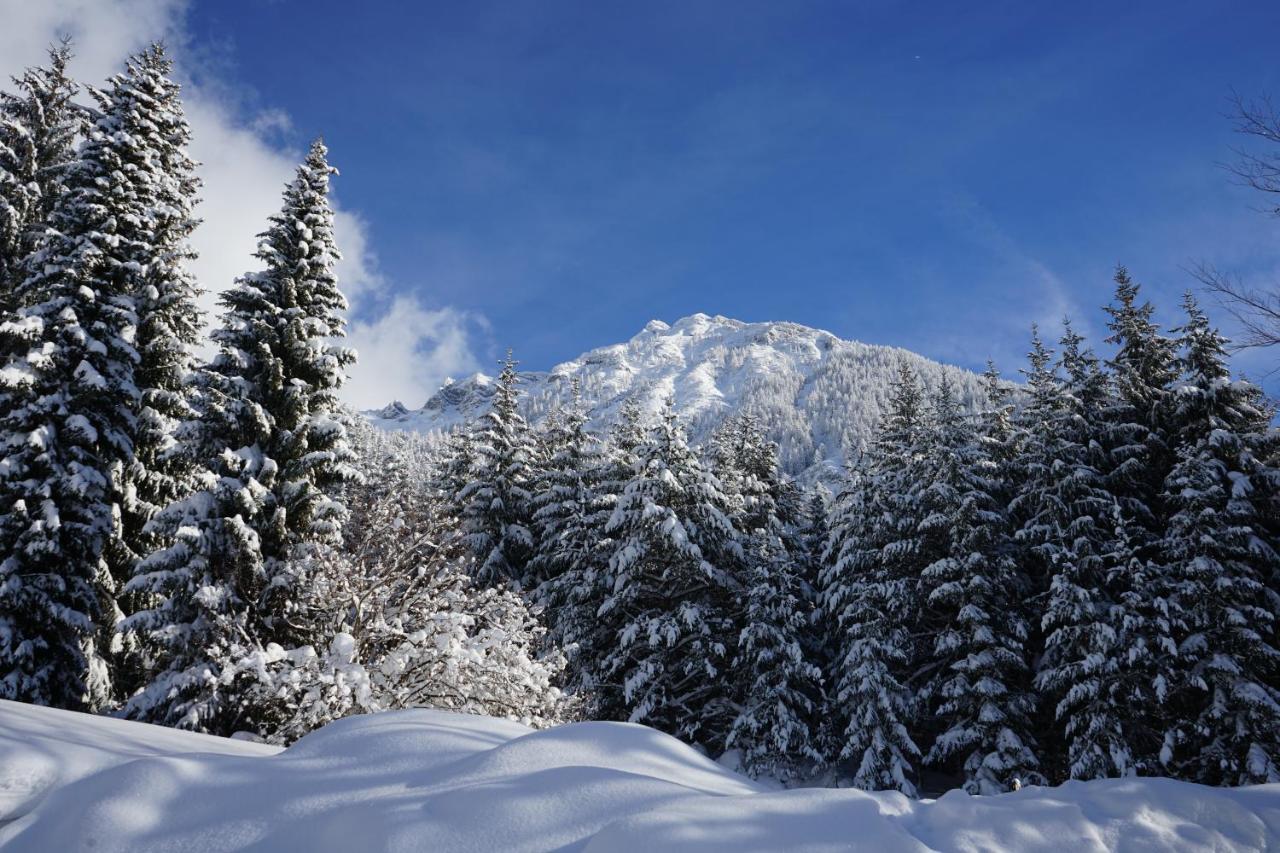 Naturhotel Alpenblick 毛拉赫 外观 照片